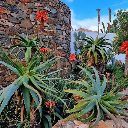 Air-conditioned Flat Casa Freesia Appartement Caleta de Fuste