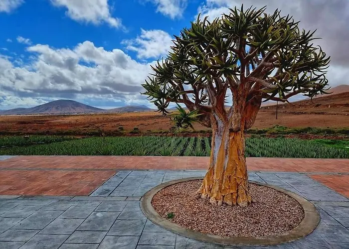 Air-conditioned Flat Casa Freesia