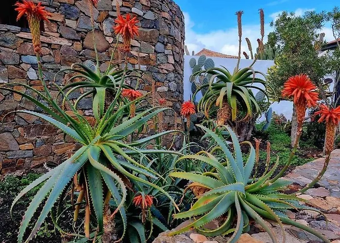 Air-conditioned Flat Casa Freesia アパート カレタ・デ・フステ