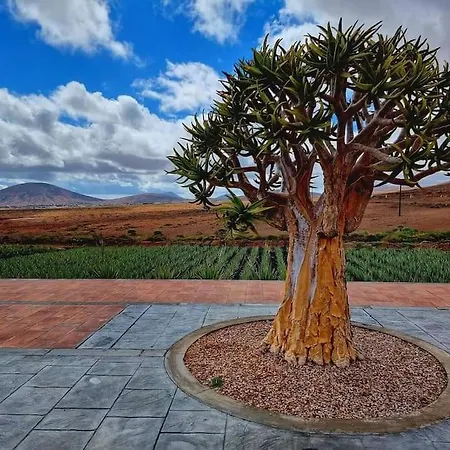 Air-conditioned Flat Casa Freesia