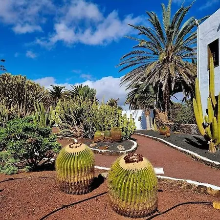 Air-conditioned Flat Casa Freesia Appartement